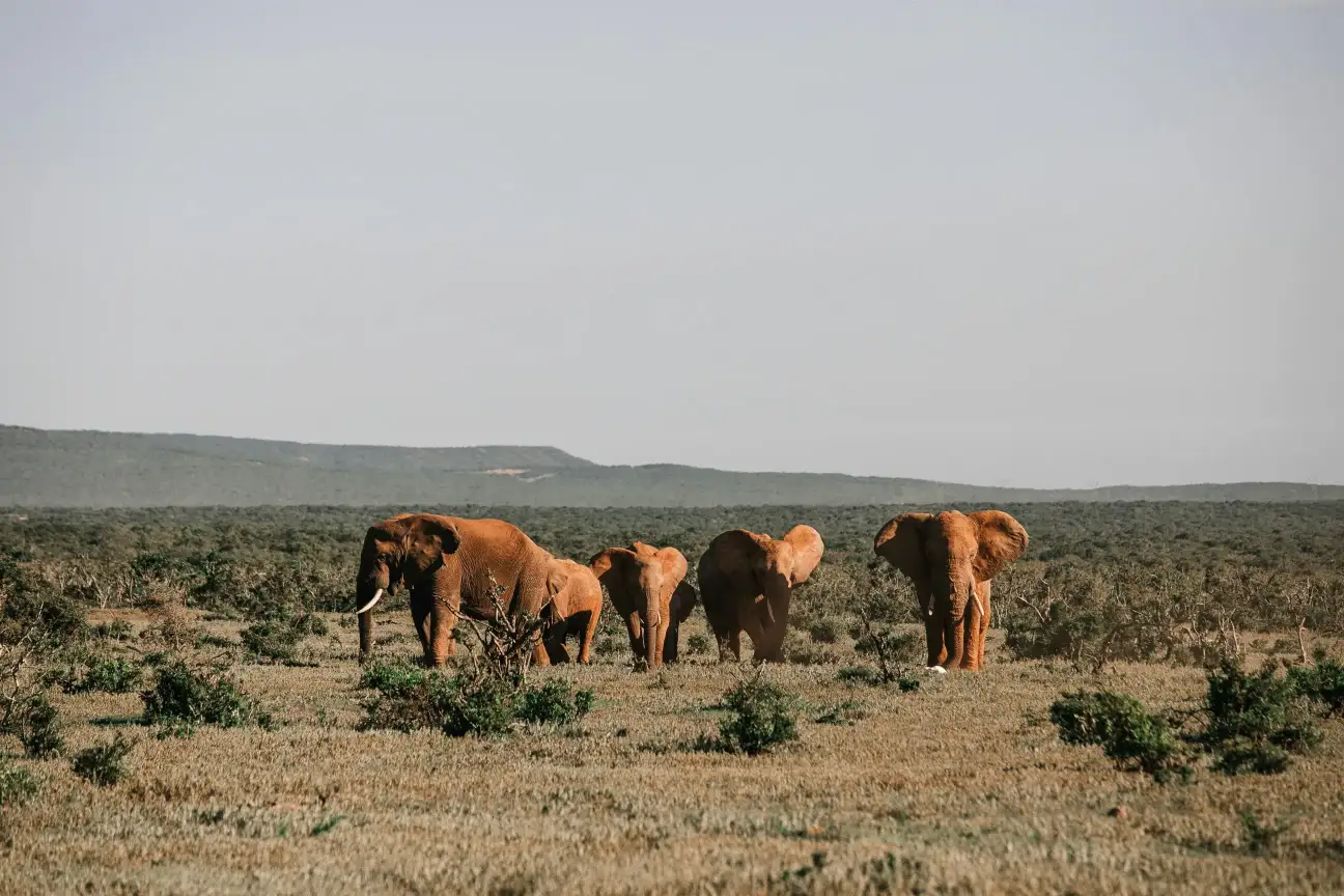 LAKE MANYARA NATIONAL PARK